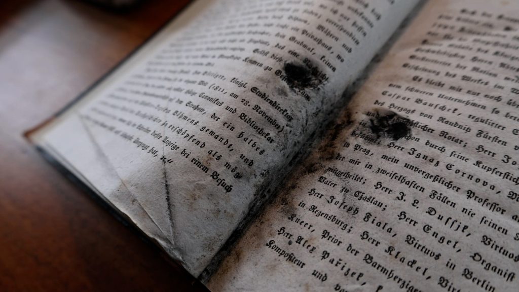 De brændte bøger | Dronningens Håndbibliotek